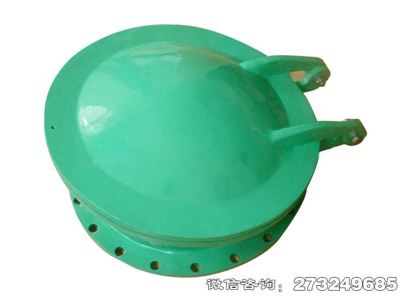 歙縣耐腐蝕管道玻璃鋼拍門