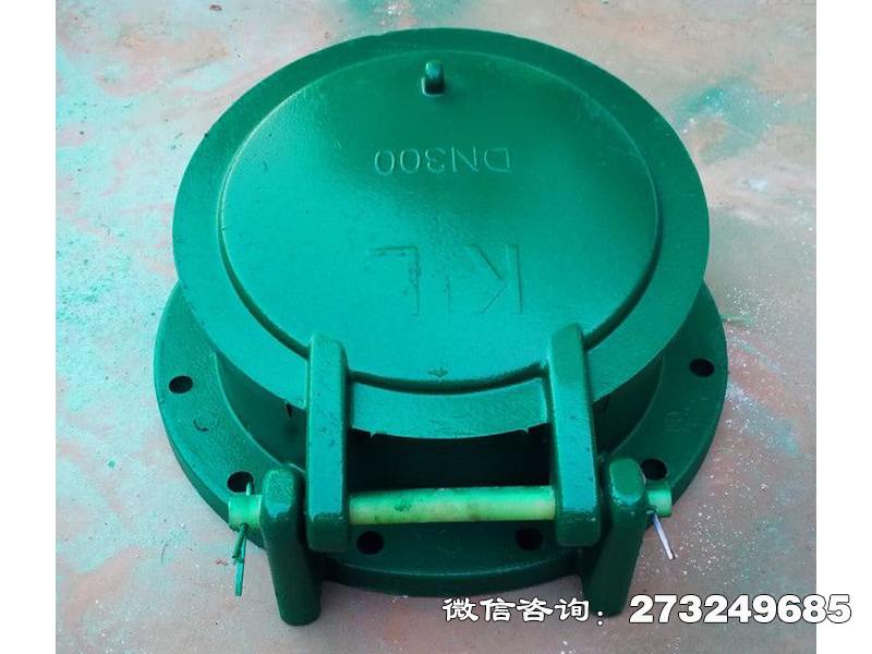 師宗縣dn300復合材料拍門