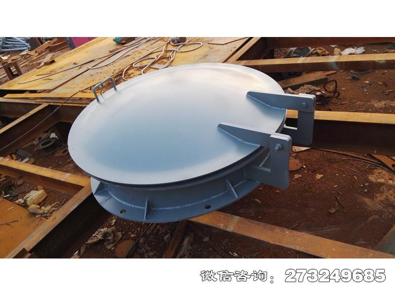 浠水縣水渠管道鋼制拍門