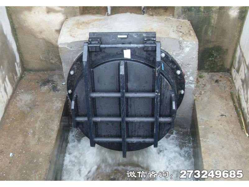 鋼制水渠拍門(mén)